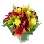Vibrant Surprise